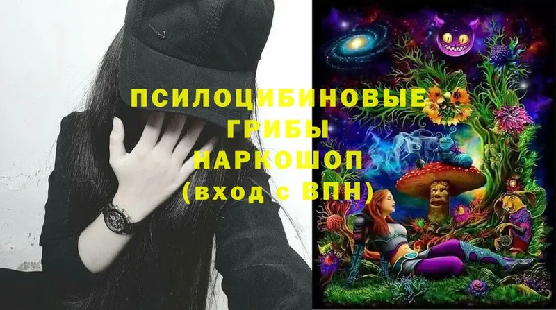 Галлюциногенные грибы Magic Shrooms  Ахтубинск 